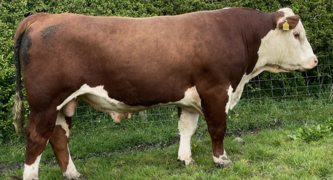 Netherhall 1 Jack S000 (Son)